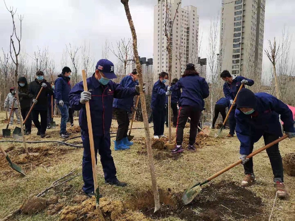 植树造林